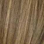 2/22 - Brun foncé / méché blond clair