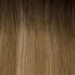 T2 P12/24 - Effet repousse brun / méché blond clair doré