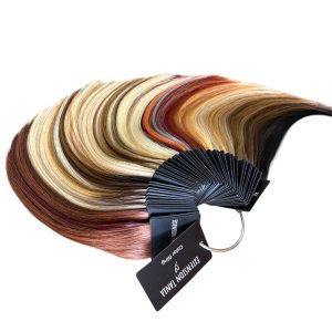 Méchier d’échantillons de couleur – Gold Summum Russe